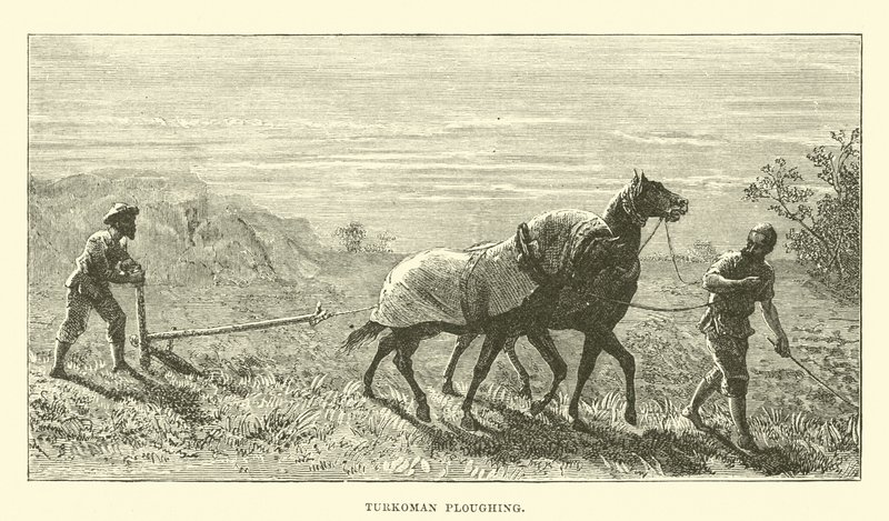 Turkoman Ploughing by English School
