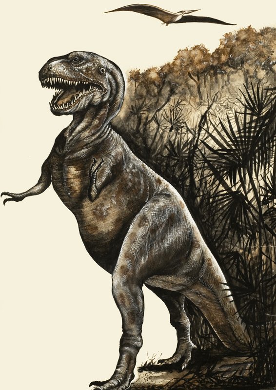 Tyrannosaurus Rex by English School