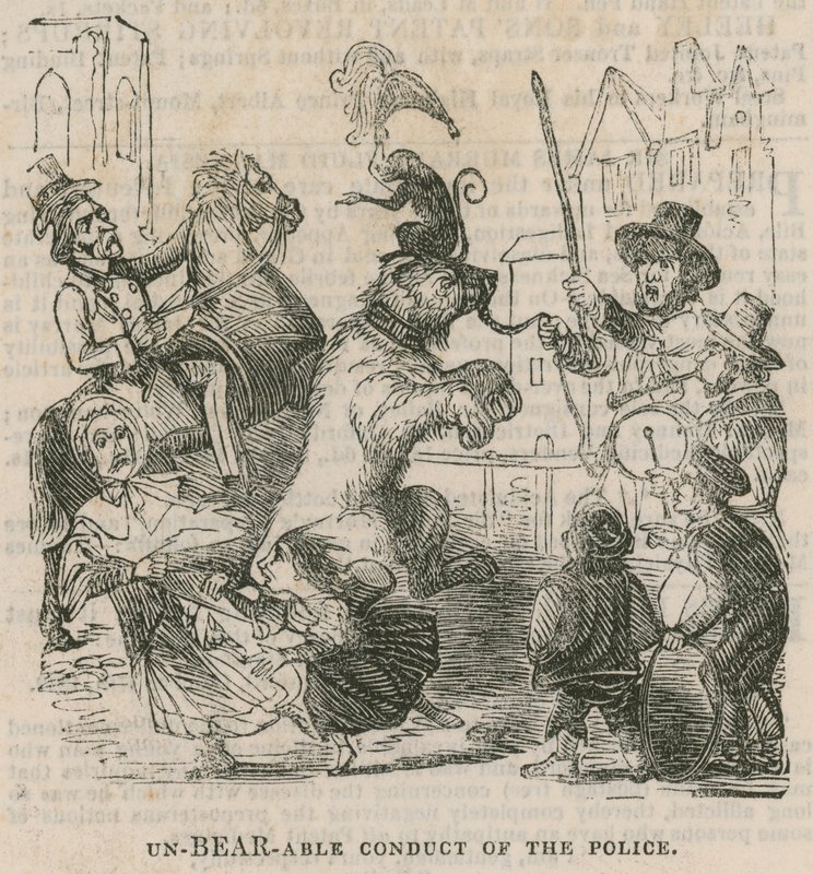 Un-BEAR-able Conduct of the Police by English School