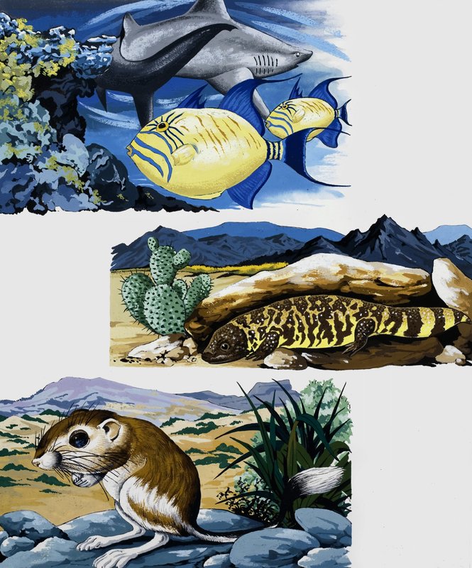 Underwater Creatures and Mouse by English School