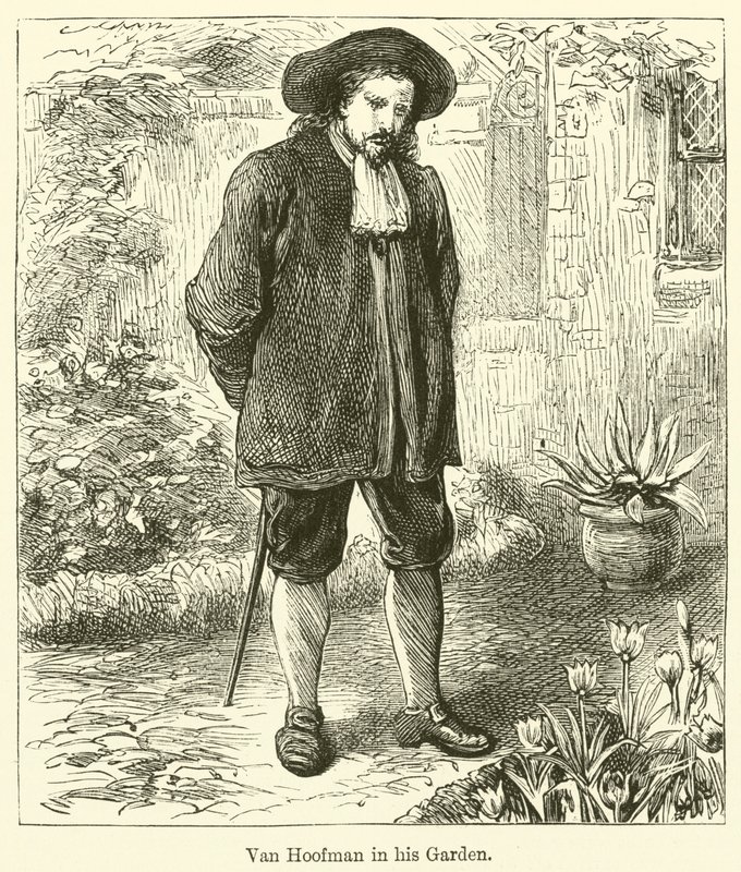 Van Hoofman in his Garden by English School