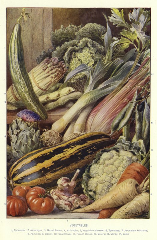 Vegetables by English School