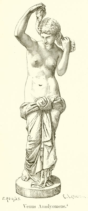 Venus Anadyomene by English School