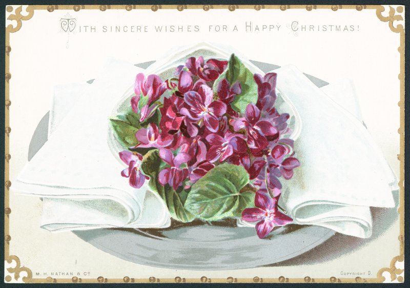 Violets by English School