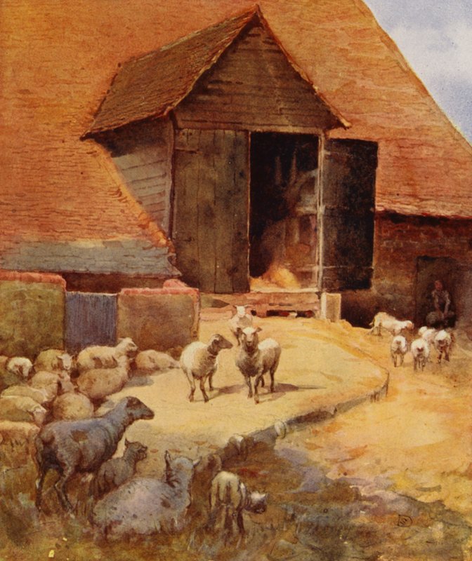 Waiting to Be Shorn by English School