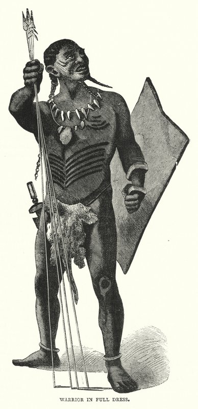 Warrior in Full Dress (engraving) by English School