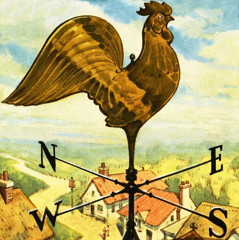 Weather Vane by English School