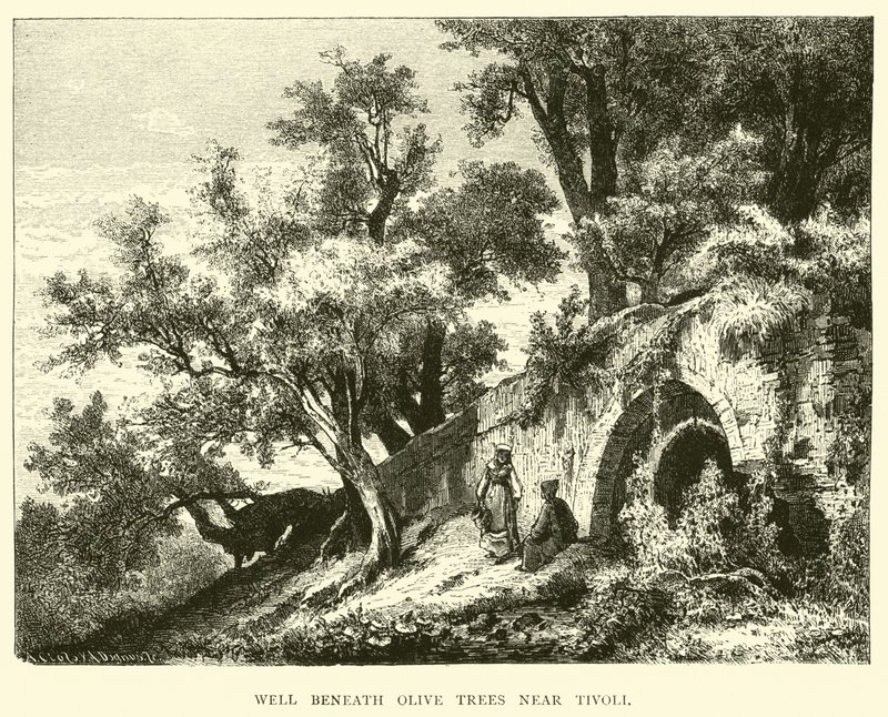 Well beneath Olive trees near Tivoli by English School