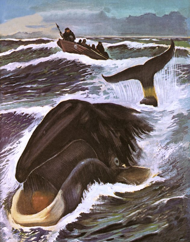 Whale Hunting by English School