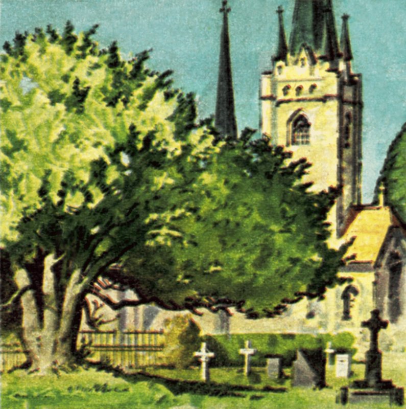 Yew tree in a church yard by English School