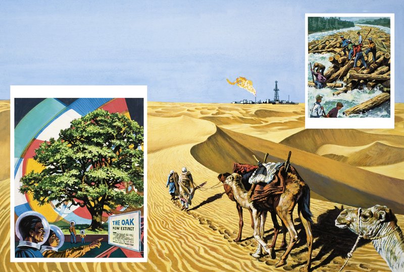 You Can Lead a Camel to Oil by English School