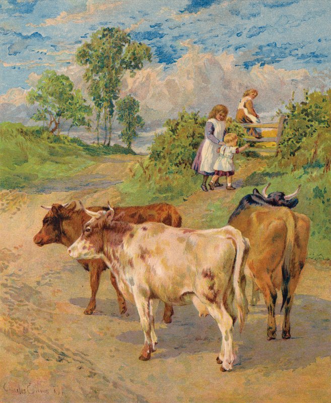 Young Children and Cattle by English School