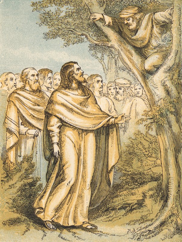 Zacchaeus by English School