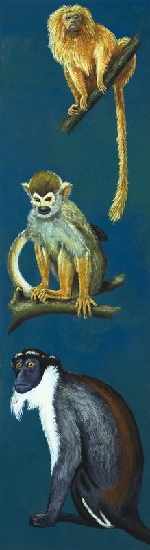 Strange Monkeys by Eric Tansley