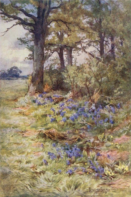 Fringes of the Fragrant Woods by Ernest Benger or Berenger