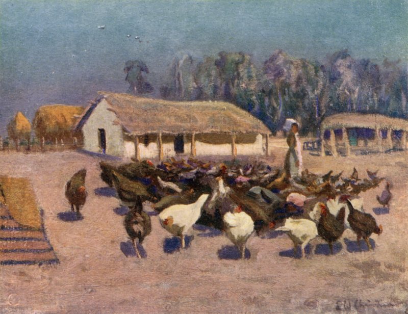 A Summer