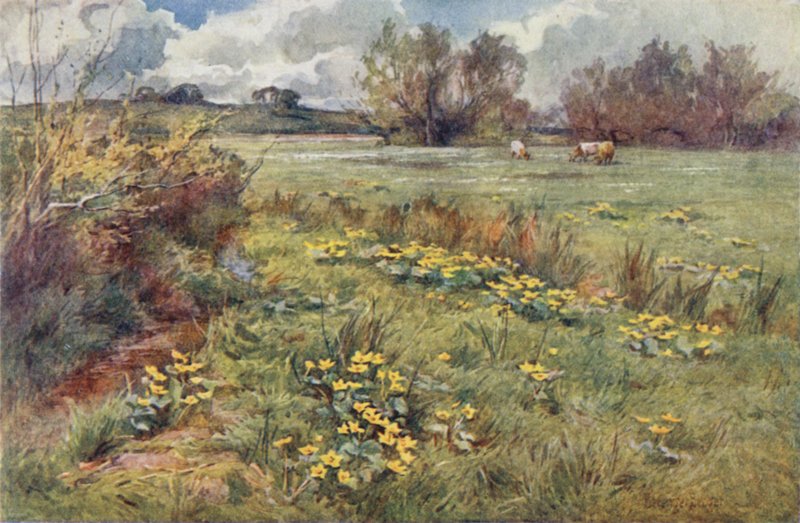 Pathless Fields by Ernest Benger or Berenger
