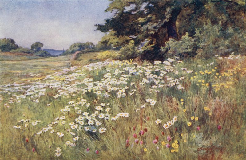 Sunshine in Meadowland by Ernest Benger or Berenger