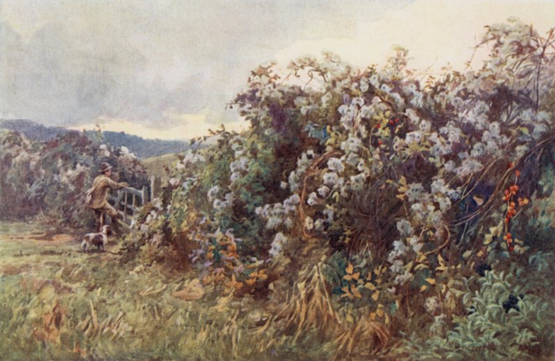 Travellers