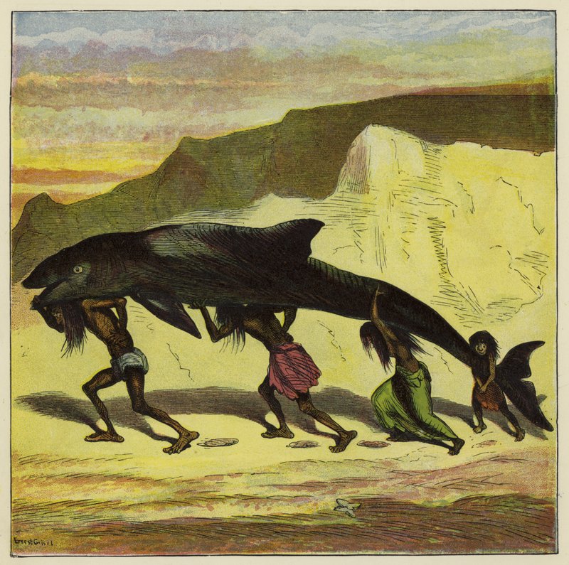 Great funny fish by Ernest Henry Griset