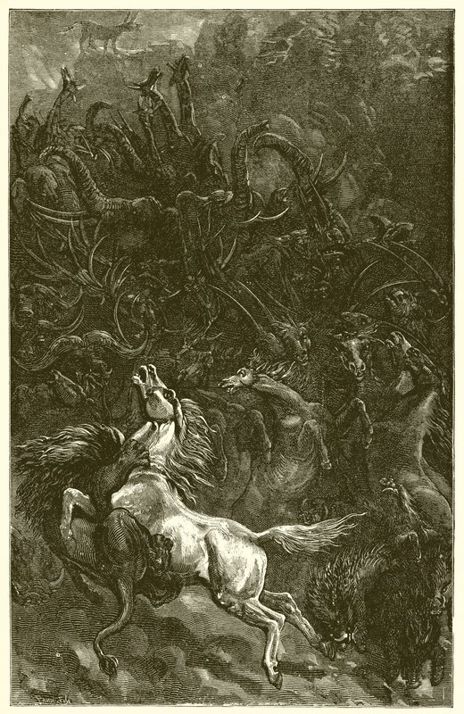 The Ass and the Lion Hunting by Ernest Henry Griset