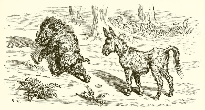 The Boar and the Ass by Ernest Henry Griset