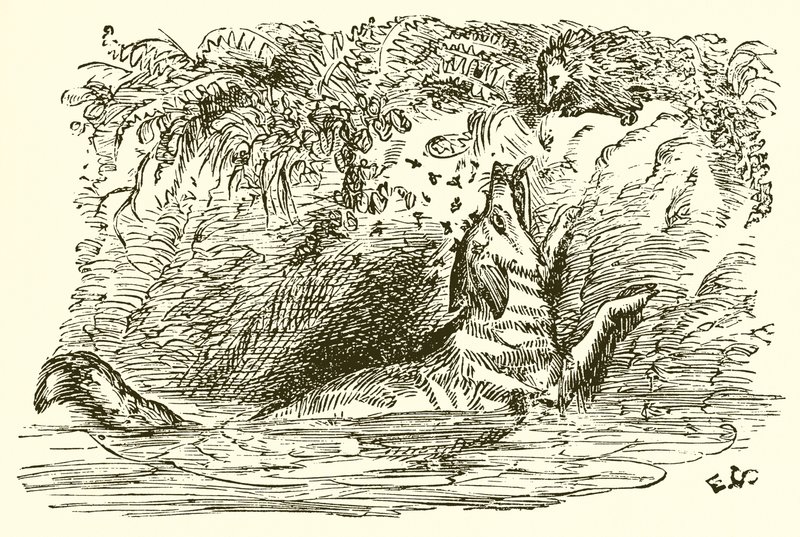 The Fox and the Hedgehog by Ernest Henry Griset
