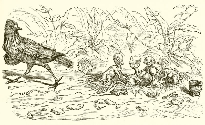 The Lark and her Young Ones by Ernest Henry Griset