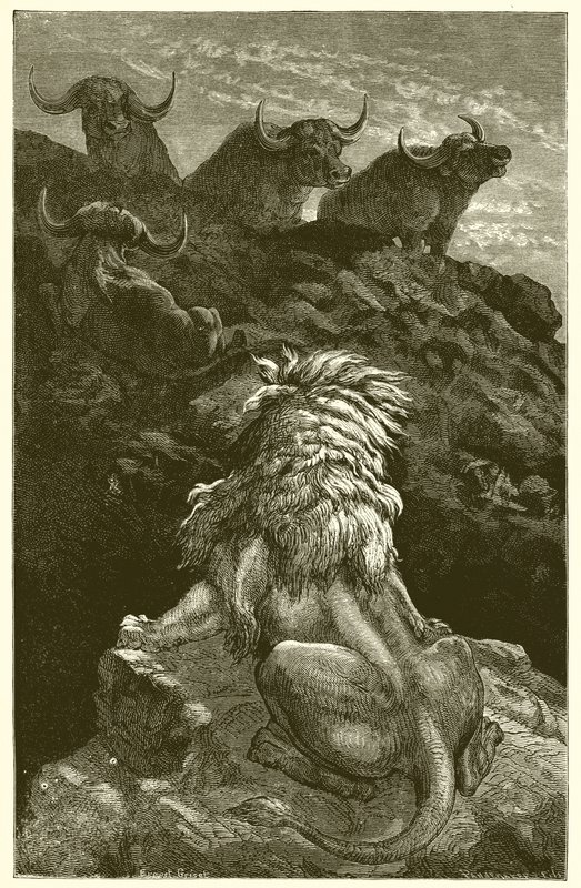 The Lion and the Four Bulls by Ernest Henry Griset