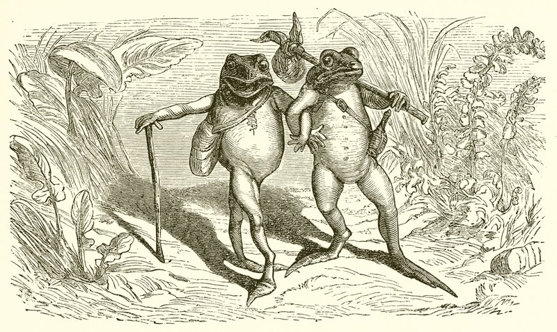 The Two Frogs by Ernest Henry Griset