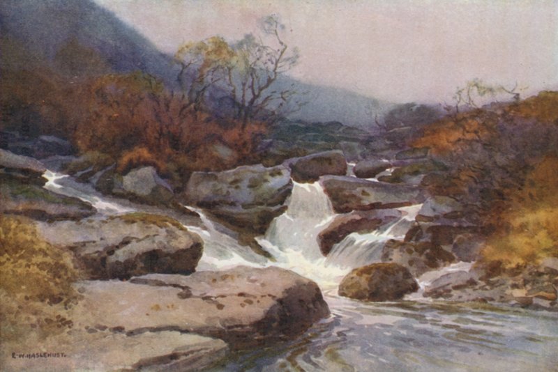 A Dartmoor Stream by Ernest William Haslehust
