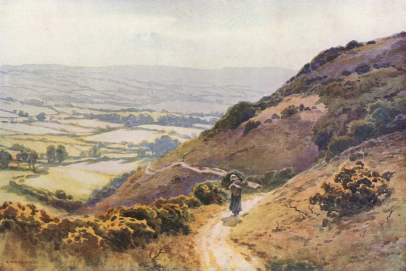 Ballard Down, Swanage by Ernest William Haslehust