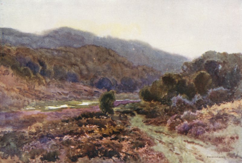 By Broomy Water by Ernest William Haslehust