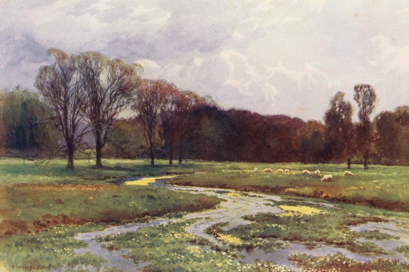 River Thames: Thames Head by Ernest William Haslehust