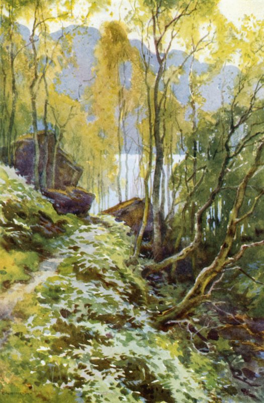 The Old Pass, Trossachs by Ernest William Haslehust