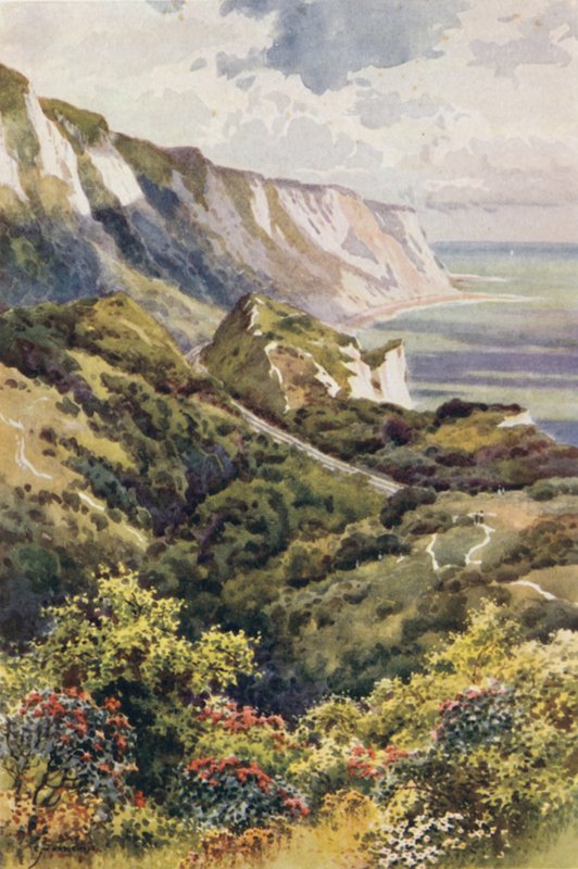 The Warren, Folkestone by Ernest William Haslehust