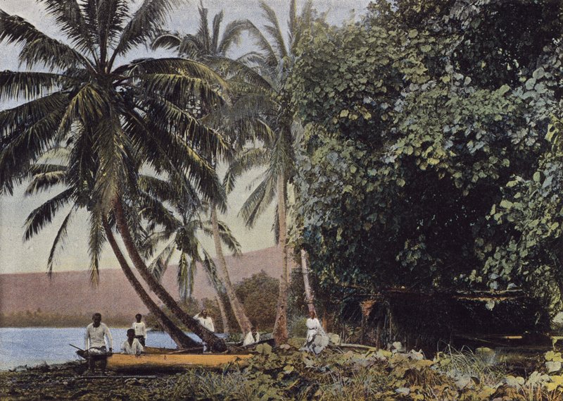 Coast of Mataiea by European Photographer
