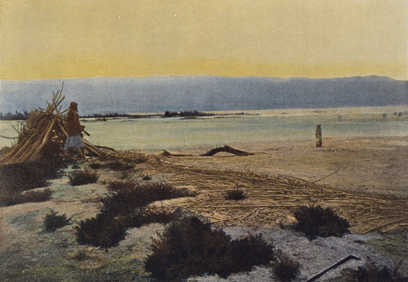 The Dead Sea at the Mouth of the Jordan by European Photographer
