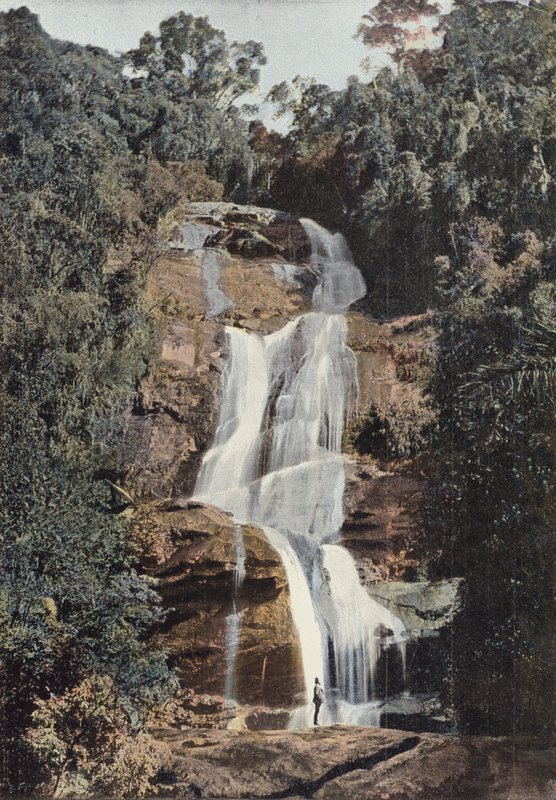 Tijuca, Small Waterfall by European Photographer