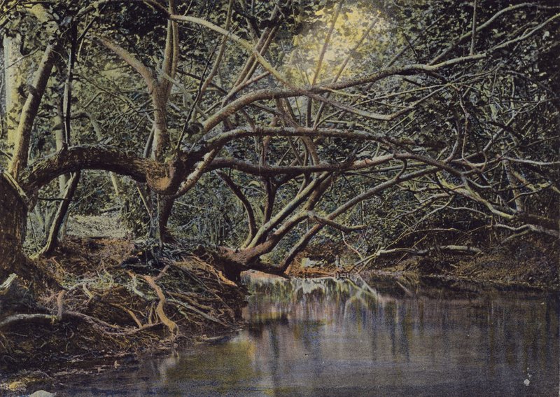 A Corner of the Pautana by European Photographer