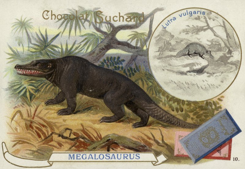 Megalosaurus and otter by European School