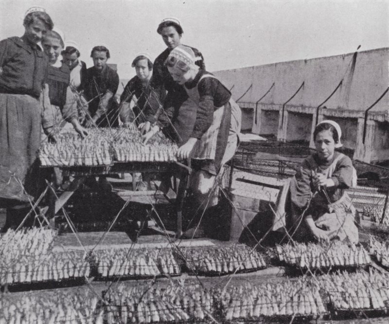 Drying sardine by European Photographer