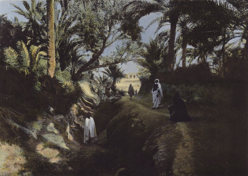 Interior of the Oasis by European Photographer