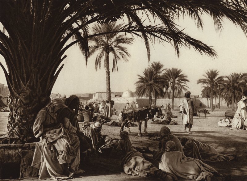 Touggourt Oasis by European Photographer
