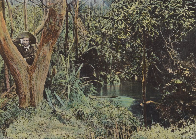 Interior View of the Island by European Photographer