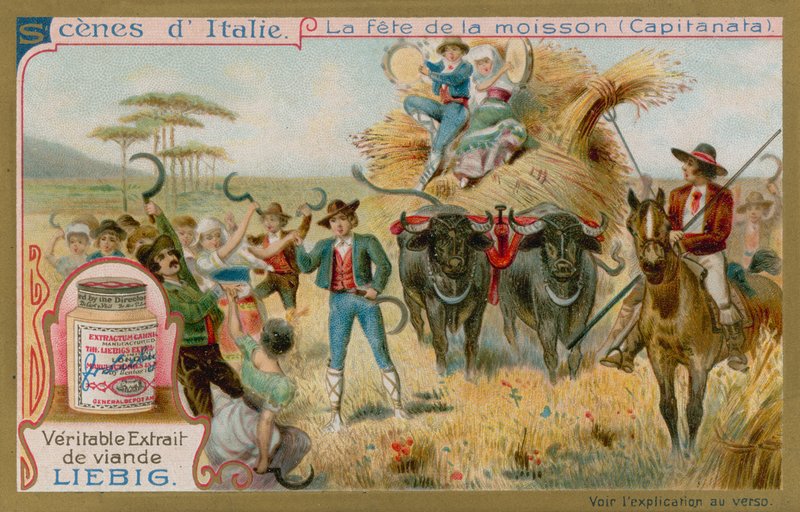 A Harvest Festival in Capitanata by European School