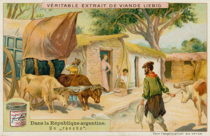 A Ranch by European School
