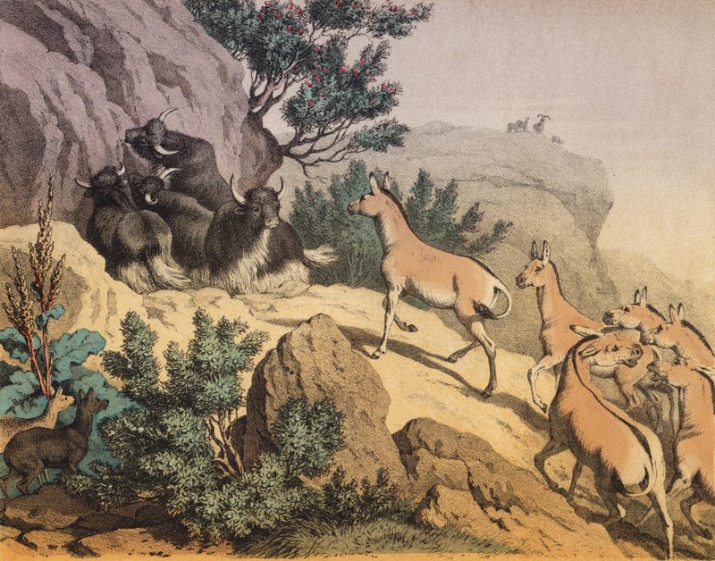 A desert in Central Asia by European School