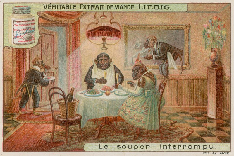 A monkey dinner party by European School