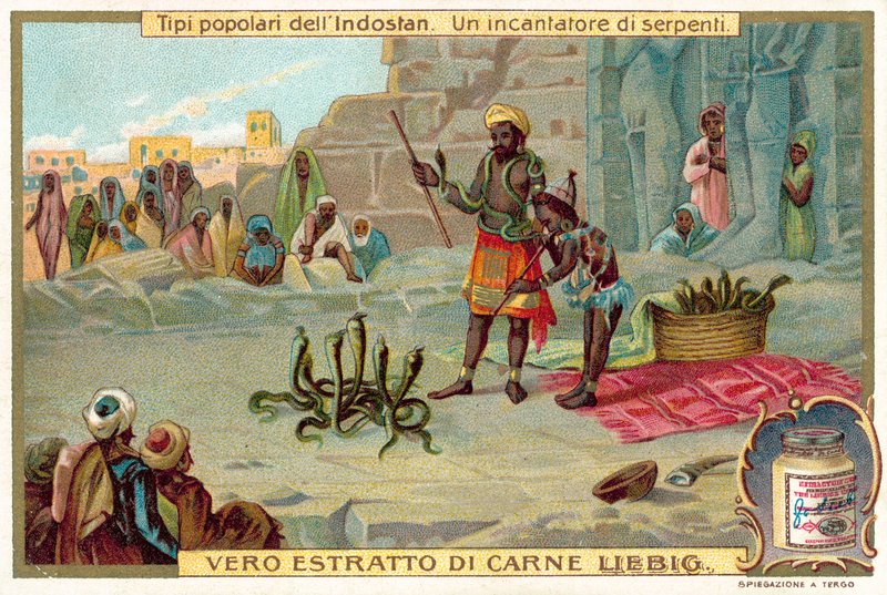 A snake charmer by European School